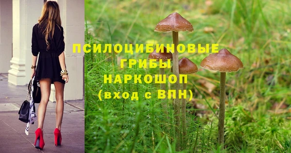 крисы Пестово