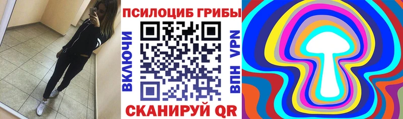 даркнет сайт  Нижнеудинск  Псилоцибиновые грибы прущие грибы 